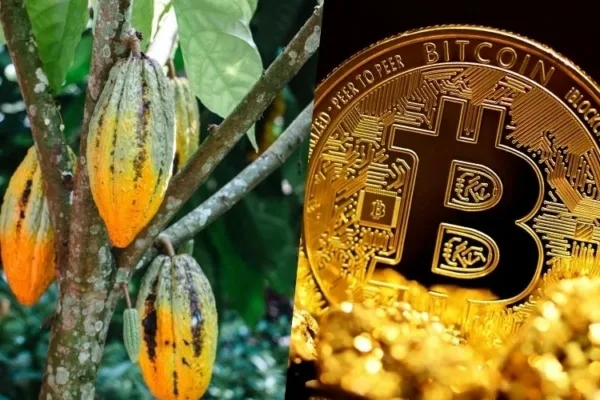 El cacao es la materia prima que mejor se ha comportado en 2024, incluso mejor que bitcoin