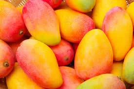 Estos son los beneficios que aporta el mango a la salud