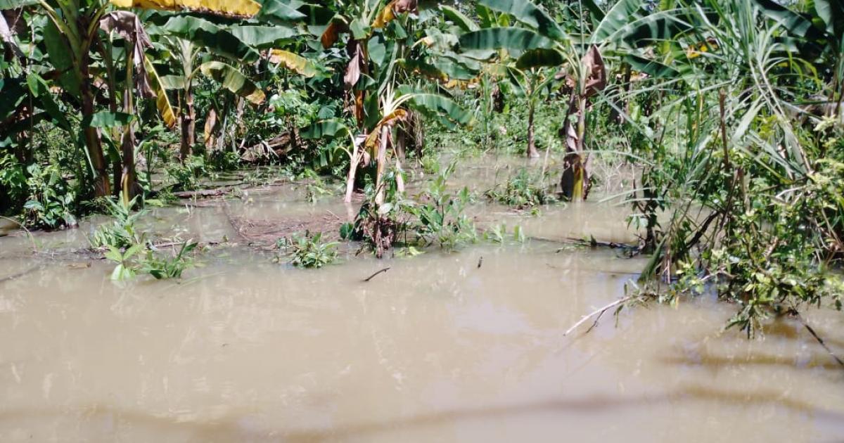 Emergencias que dejan las lluvias en Vigía del Fuerte