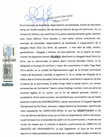 Amparos Provisionales y Custodia: El Caso de María Cristina contra la Injerencias Legales en Guatemala